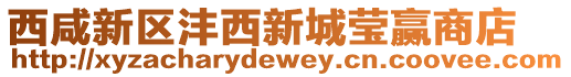 西咸新區灃西新城瑩贏商店