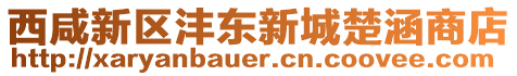 西咸新區(qū)灃東新城楚涵商店