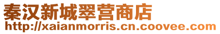 秦漢新城翠營商店