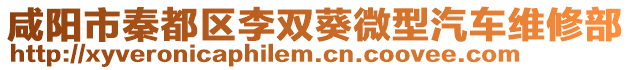 咸陽市秦都區(qū)李雙葵微型汽車維修部