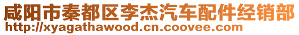 咸陽市秦都區李杰汽車配件經銷部
