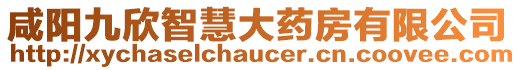 咸陽(yáng)九欣智慧大藥房有限公司