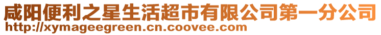 咸陽便利之星生活超市有限公司第一分公司
