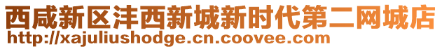 西咸新區(qū)灃西新城新時(shí)代第二網(wǎng)城店