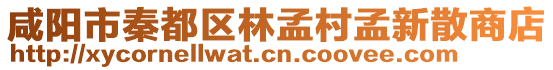 咸陽市秦都區(qū)林孟村孟新散商店