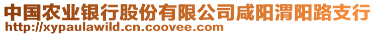 中國農(nóng)業(yè)銀行股份有限公司咸陽渭陽路支行