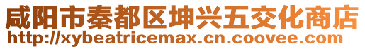 咸陽(yáng)市秦都區(qū)坤興五交化商店