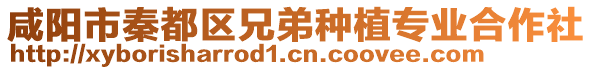 咸陽市秦都區(qū)兄弟種植專業(yè)合作社