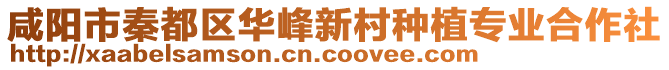 咸陽市秦都區(qū)華峰新村種植專業(yè)合作社