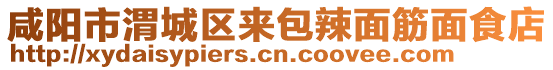 咸陽市渭城區(qū)來包辣面筋面食店