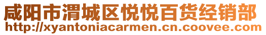 咸陽市渭城區(qū)悅悅百貨經(jīng)銷部