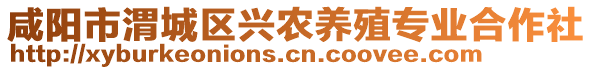 咸陽市渭城區(qū)興農(nóng)養(yǎng)殖專業(yè)合作社