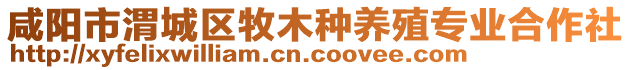 咸陽(yáng)市渭城區(qū)牧木種養(yǎng)殖專業(yè)合作社