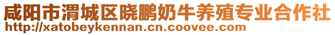 咸陽市渭城區(qū)曉鵬奶牛養(yǎng)殖專業(yè)合作社