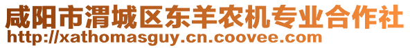 咸陽市渭城區東羊農機專業合作社