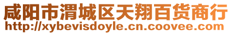 咸陽市渭城區天翔百貨商行