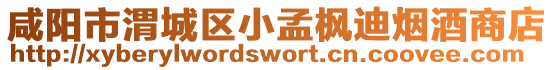 咸陽市渭城區小孟楓迪煙酒商店