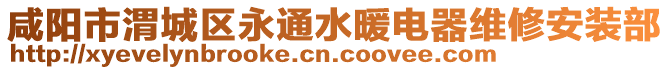 咸陽市渭城區(qū)永通水暖電器維修安裝部