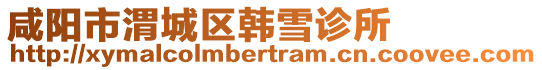 咸陽市渭城區韓雪診所