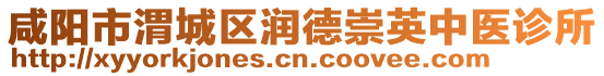 咸陽市渭城區(qū)潤(rùn)德崇英中醫(yī)診所