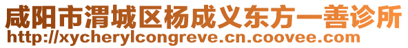 咸陽市渭城區(qū)楊成義東方一善診所