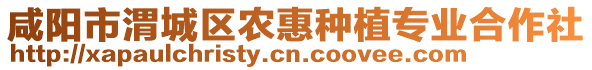 咸陽(yáng)市渭城區(qū)農(nóng)惠種植專業(yè)合作社