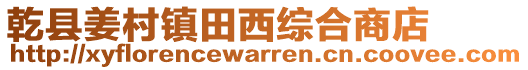 乾縣姜村鎮(zhèn)田西綜合商店