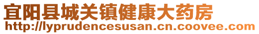 宜陽縣城關(guān)鎮(zhèn)健康大藥房