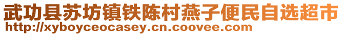 武功縣蘇坊鎮(zhèn)鐵陳村燕子便民自選超市