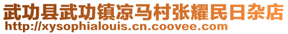 武功縣武功鎮(zhèn)涼馬村張耀民日雜店