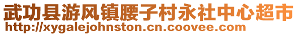 武功縣游風(fēng)鎮(zhèn)腰子村永社中心超市