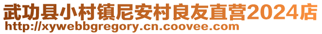 武功縣小村鎮(zhèn)尼安村良友直營2024店