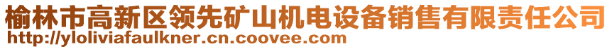 榆林市高新區(qū)領(lǐng)先礦山機電設(shè)備銷售有限責任公司