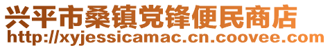 兴平市桑镇党锋便民商店