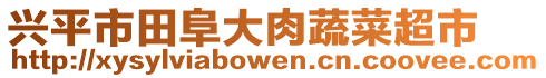 興平市田阜大肉蔬菜超市