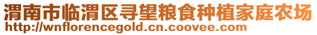 渭南市临渭区寻望粮食种植家庭农场