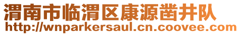 渭南市臨渭區(qū)康源鑿井隊