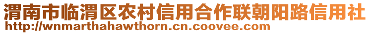 渭南市臨渭區(qū)農(nóng)村信用合作聯(lián)朝陽路信用社