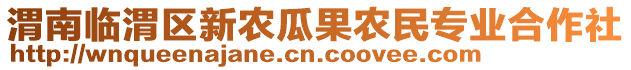 渭南临渭区新农瓜果农民专业合作社