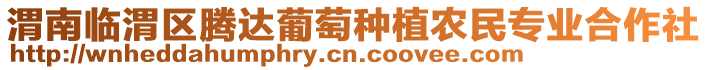 渭南臨渭區(qū)騰達(dá)葡萄種植農(nóng)民專業(yè)合作社