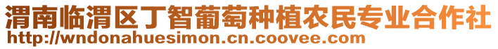 渭南臨渭區(qū)丁智葡萄種植農(nóng)民專業(yè)合作社