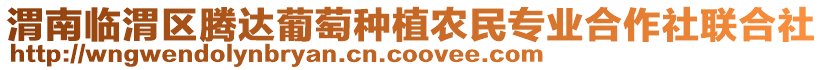 渭南臨渭區(qū)騰達(dá)葡萄種植農(nóng)民專業(yè)合作社聯(lián)合社