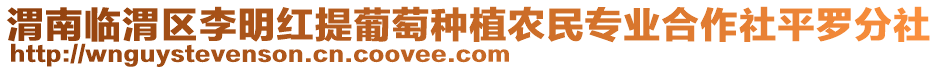 渭南臨渭區(qū)李明紅提葡萄種植農(nóng)民專業(yè)合作社平羅分社