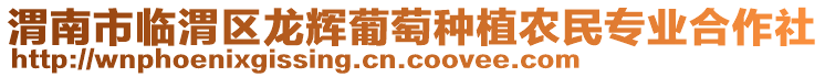 渭南市臨渭區(qū)龍輝葡萄種植農(nóng)民專業(yè)合作社