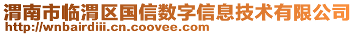 渭南市臨渭區(qū)國信數(shù)字信息技術(shù)有限公司