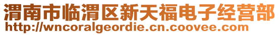 渭南市臨渭區(qū)新天福電子經(jīng)營部