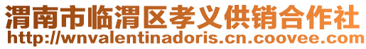 渭南市臨渭區孝義供銷合作社