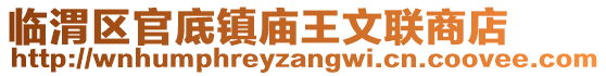 臨渭區(qū)官底鎮(zhèn)廟王文聯(lián)商店