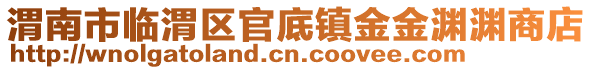 渭南市临渭区官底镇金金渊渊商店