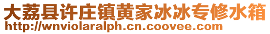 大荔縣許莊鎮黃家冰冰專修水箱
